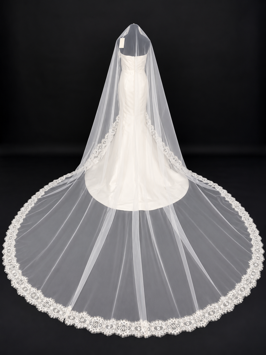 Lace Cathedral Veil — photograph 1 of 4