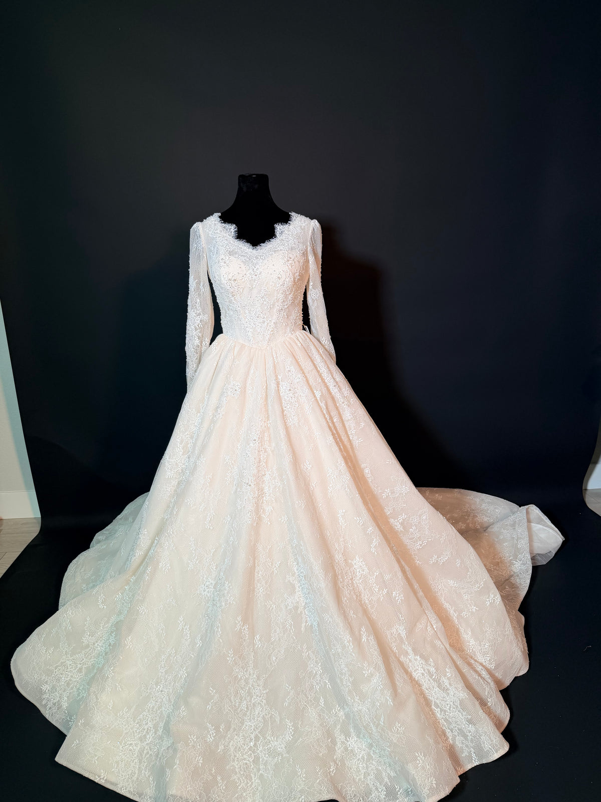 Wedding dress with sparkle lace — photograph 2 of 10