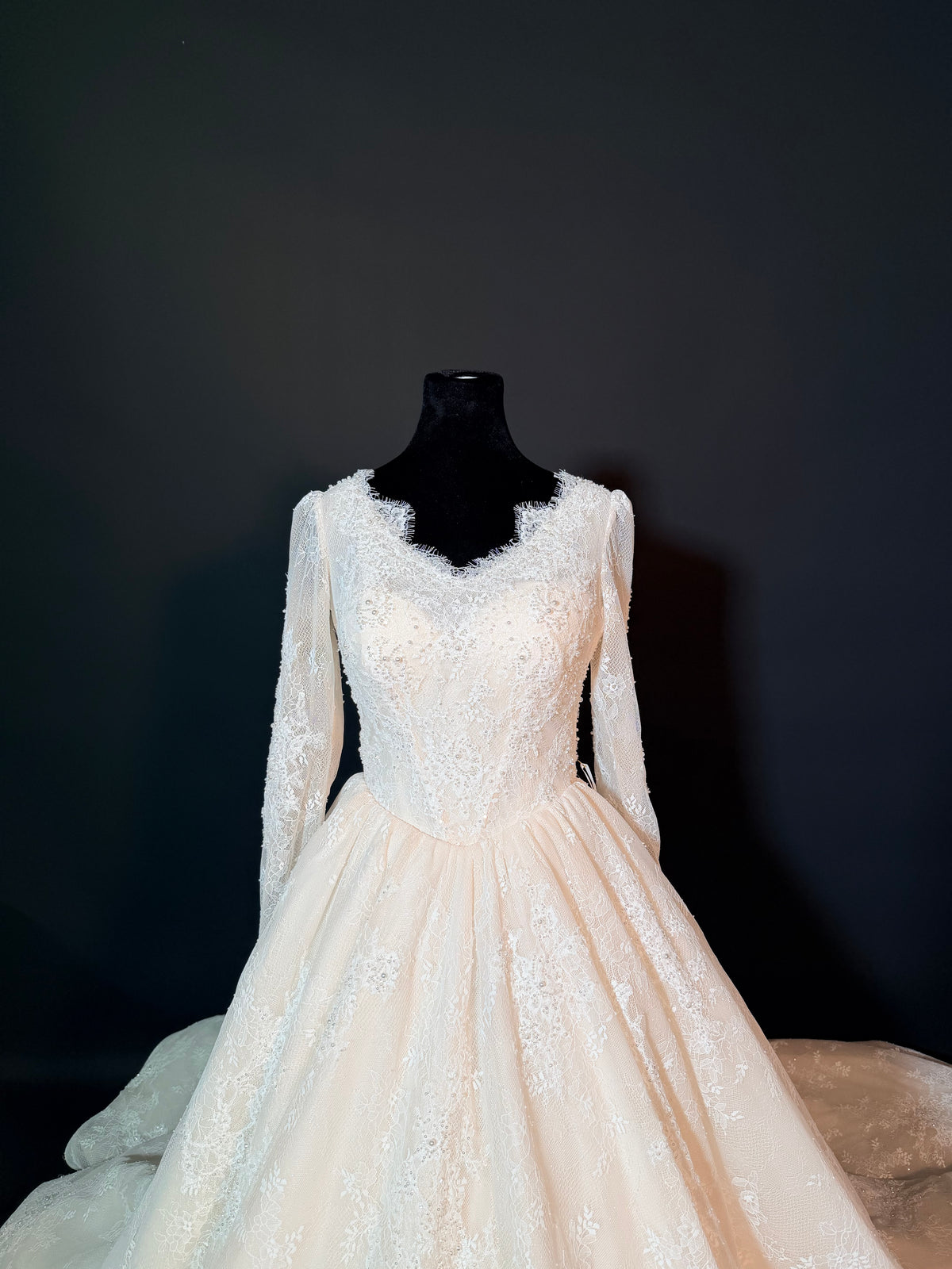 Wedding dress with sparkle lace — photograph 3 of 10