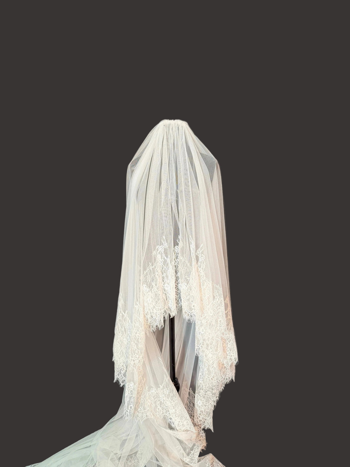 Floral Chantilly Lace, Cathedral Veil — photograph 4 of 4