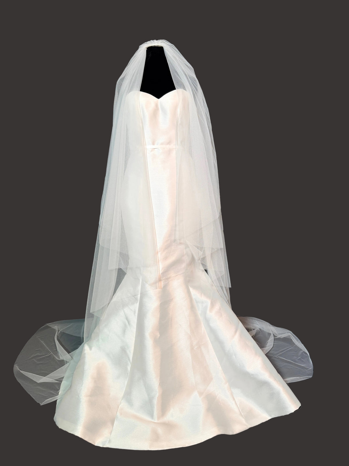 Double Layer Simple Cathedral Veil — photograph 3 of 6