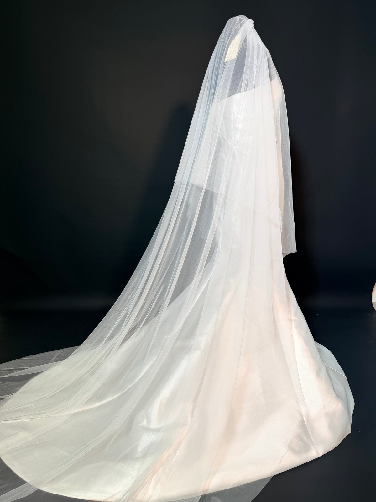 Double Layer Simple Cathedral Veil — photograph 2 of 6