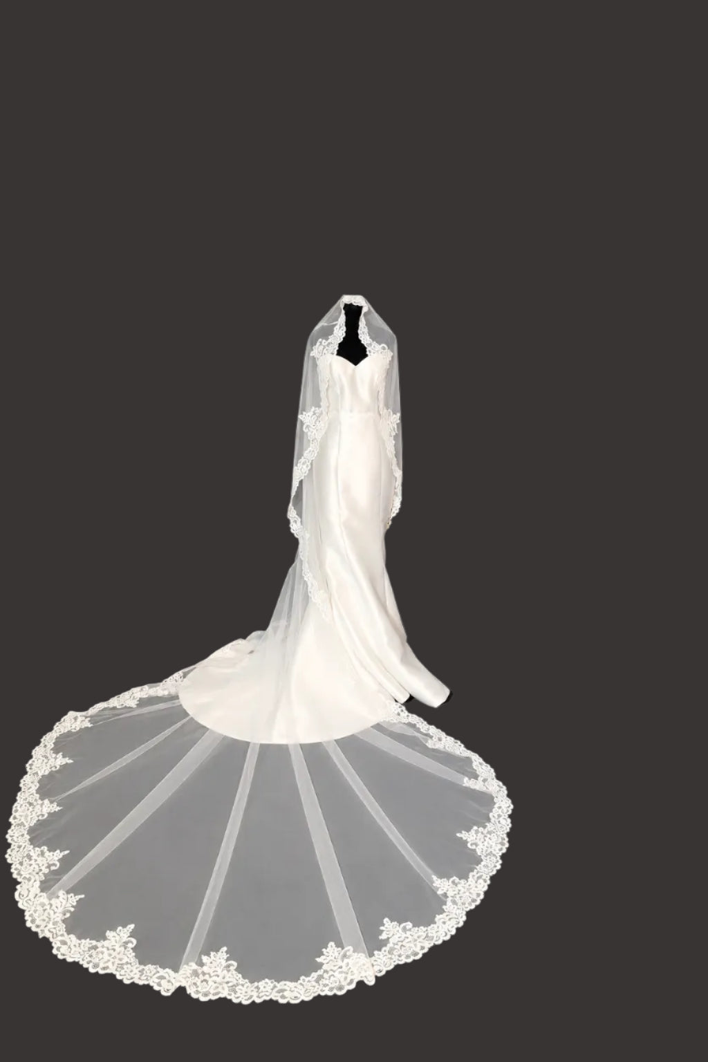 Cathedral Lace Mantilla Veil — photograph 4 of 5