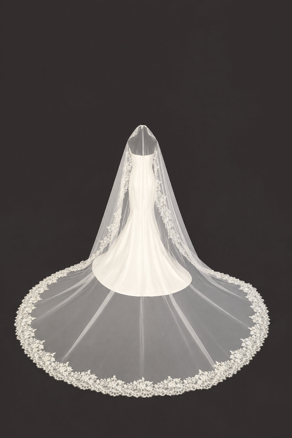 Cathedral Mantilla Veil — photograph 1 of 6