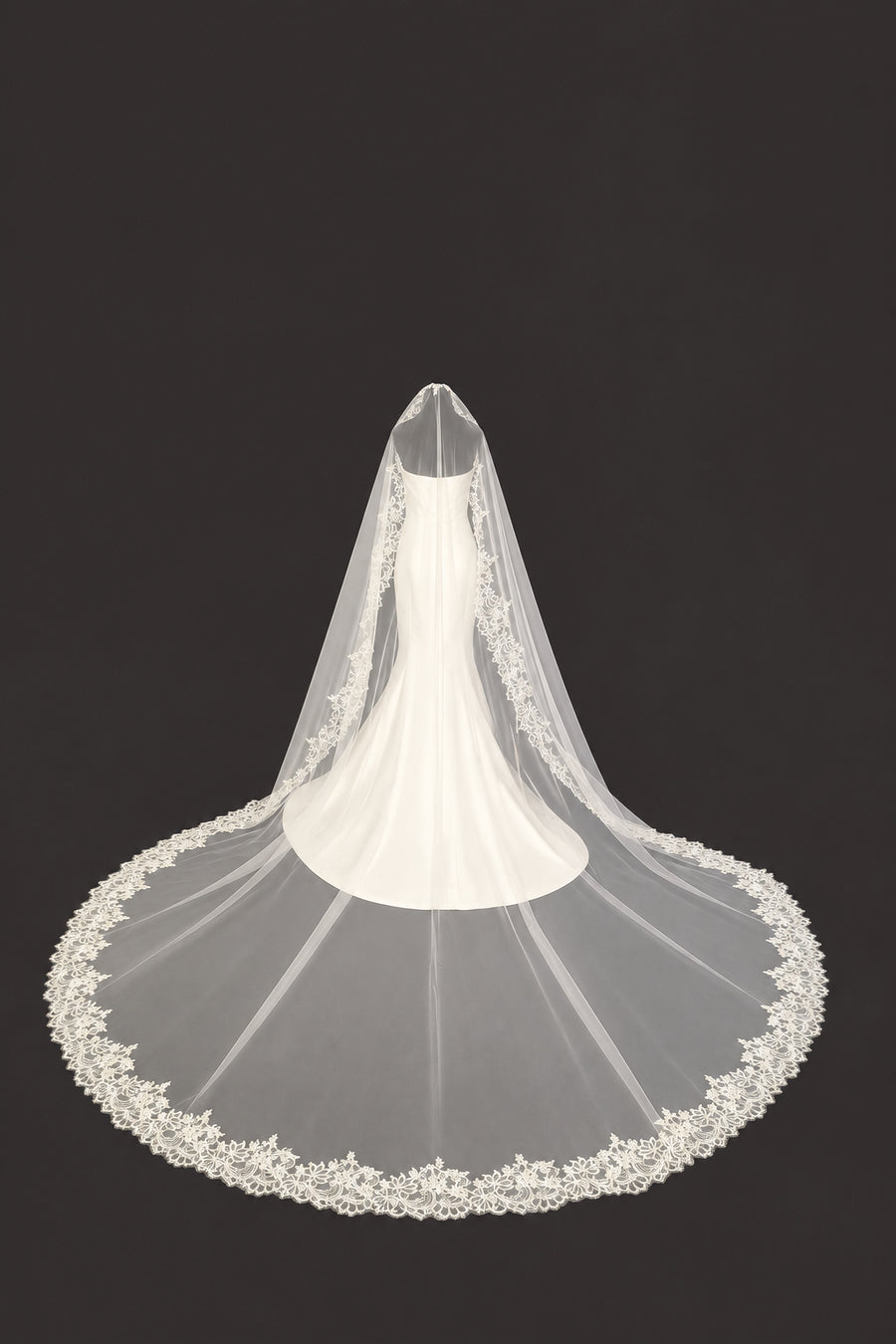 Cathedral Mantilla Veil