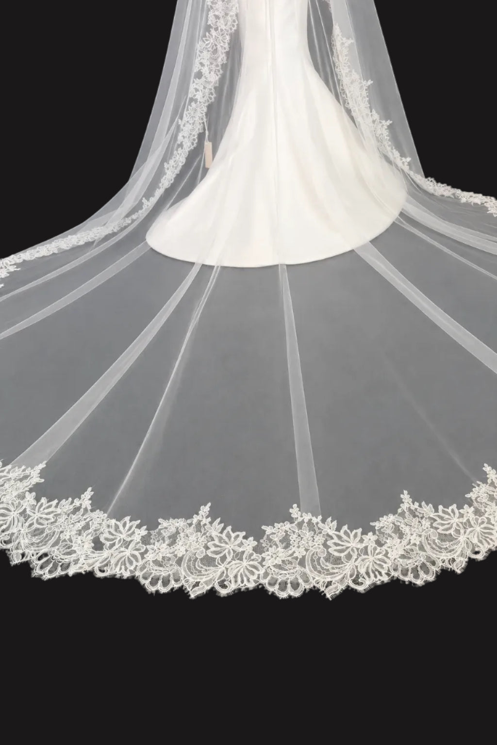 Cathedral Mantilla Veil — photograph 2 of 6