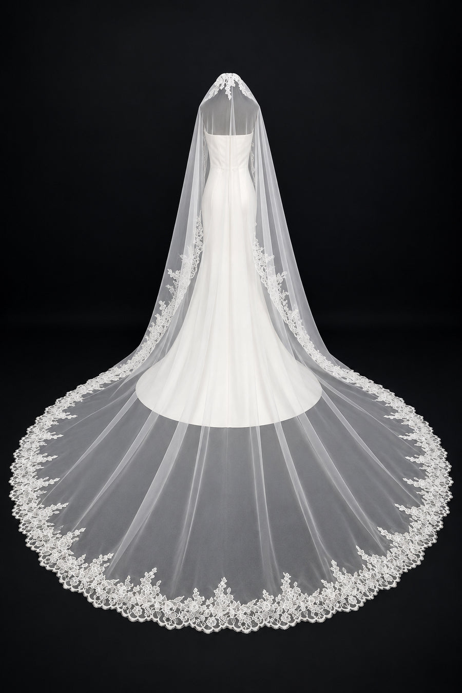 Cathedral Mantilla Veil, Soft Lace