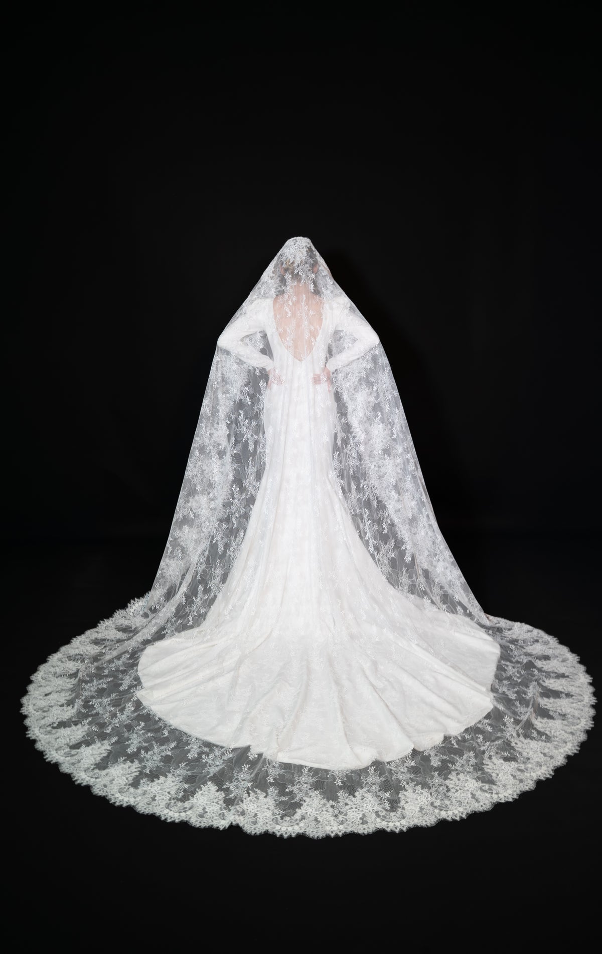 Dramatic French Lace Cathedral Veil — photograph 1 of 6