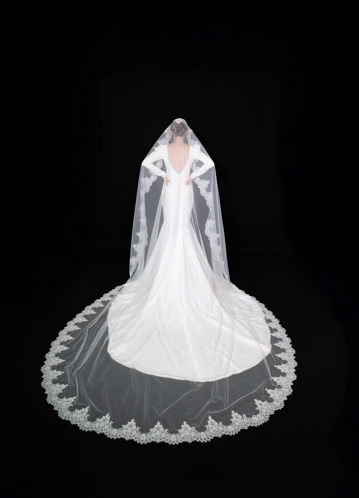 Lace Cathedral Veil — photograph 4 of 4
